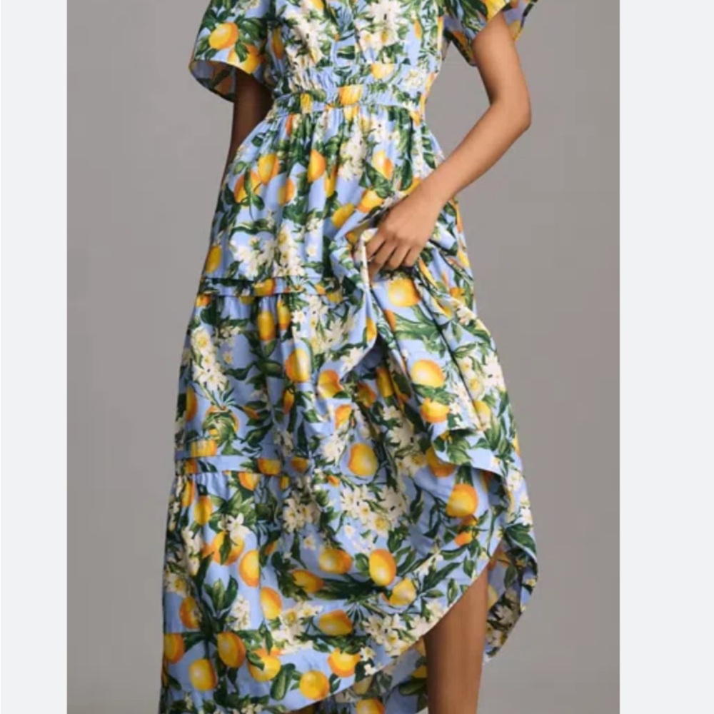 Anthropologie Somerset maxi